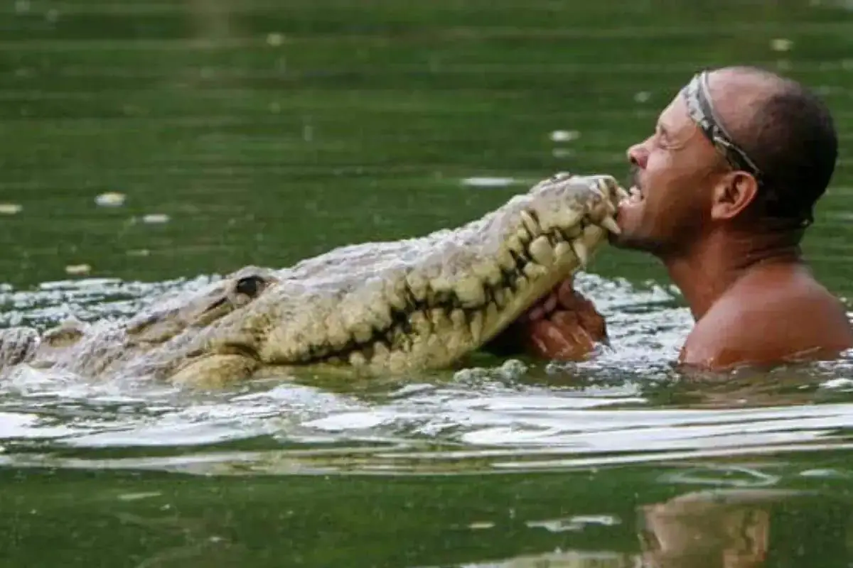 Pocho the crocodile plays with his human friend Gilberto "Chito" Shedden.