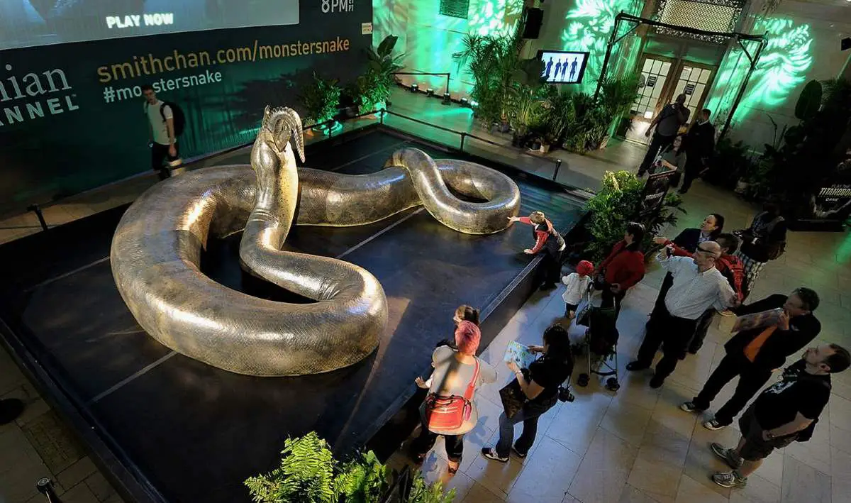 Largest snake ever lived: Titanoboa