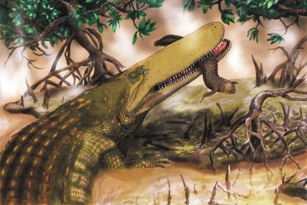 Aegisuchus, the largest crocodile ever lived