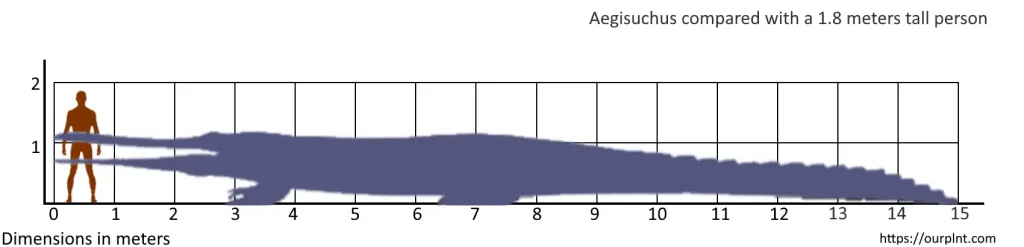 The size of Aegisuchus (the largest crocodile ever lived) compared with a 1.8-meter-tall person.