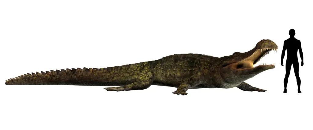 Largest prehistoric crocodiles: Sarcosuchus vs human size comparison