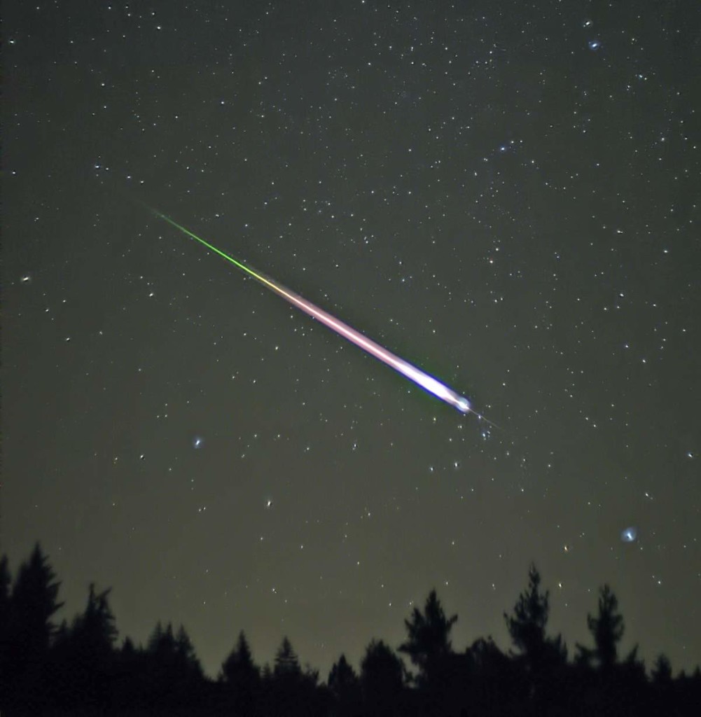 A Leonid meteor