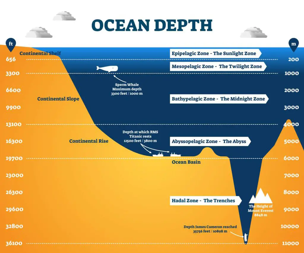 Most extreme places life can be found on Earth: Mariana Trench