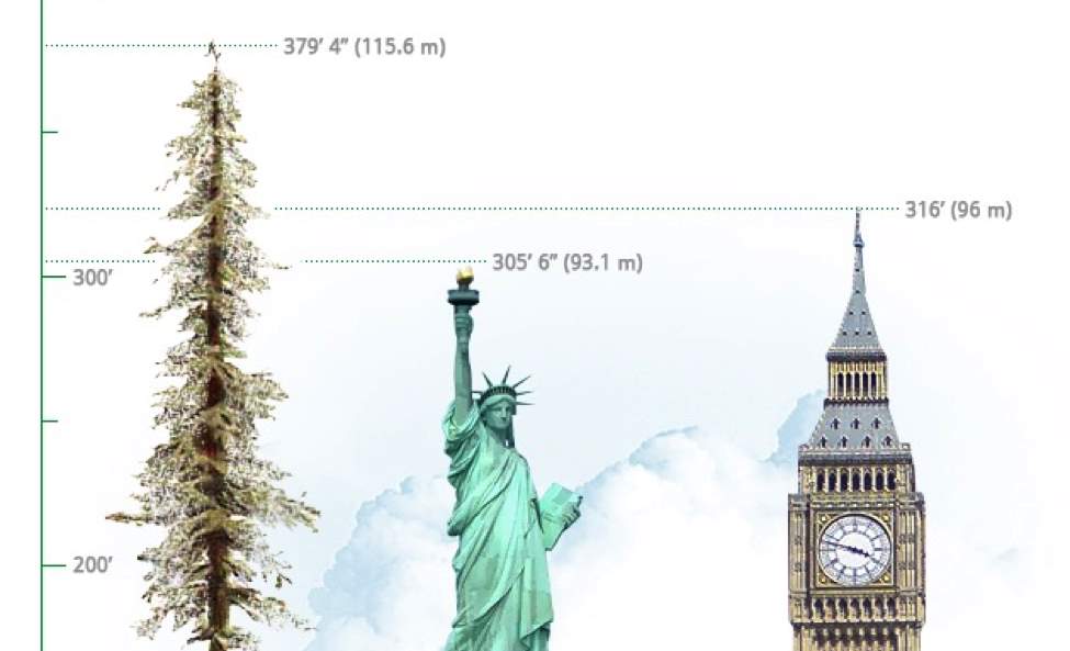 Height comparison of Hyperion (featured)