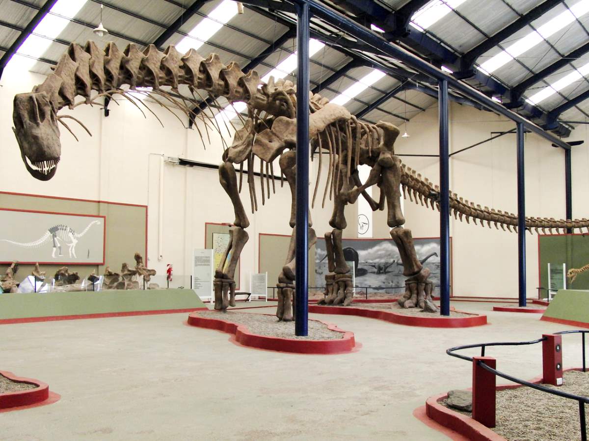 Largest dinosaurs: Argentinosaurus huinculensis reconstruction