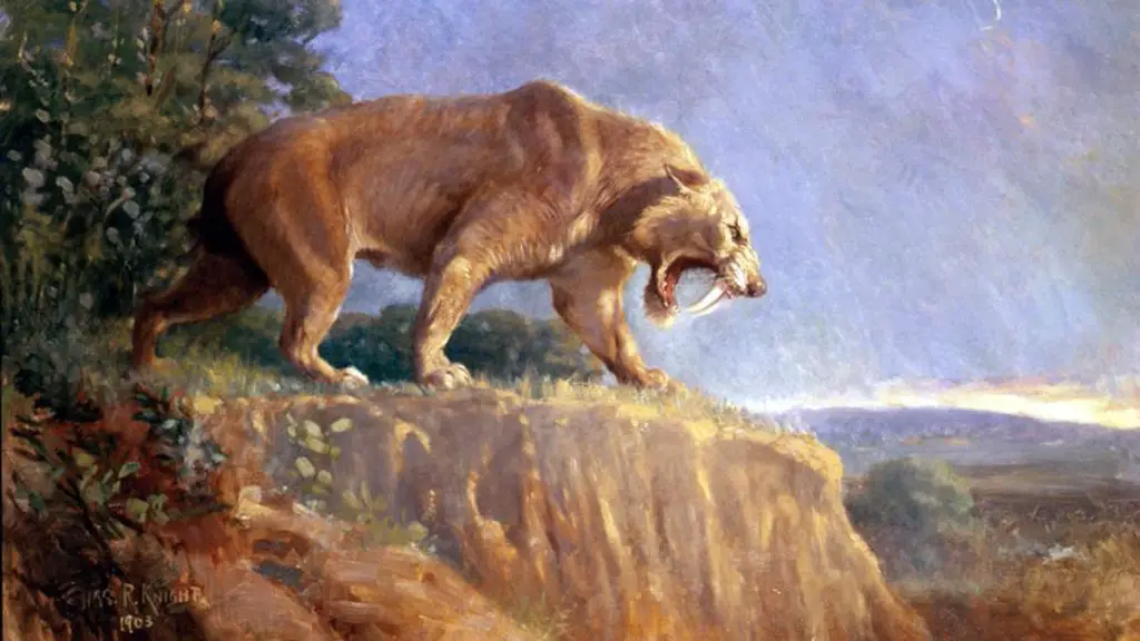 The largest prehistoric cat: Smilodon populator