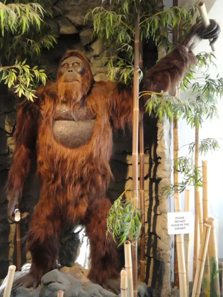 Largest prehistoric mammals: Gigantopithecus blacki