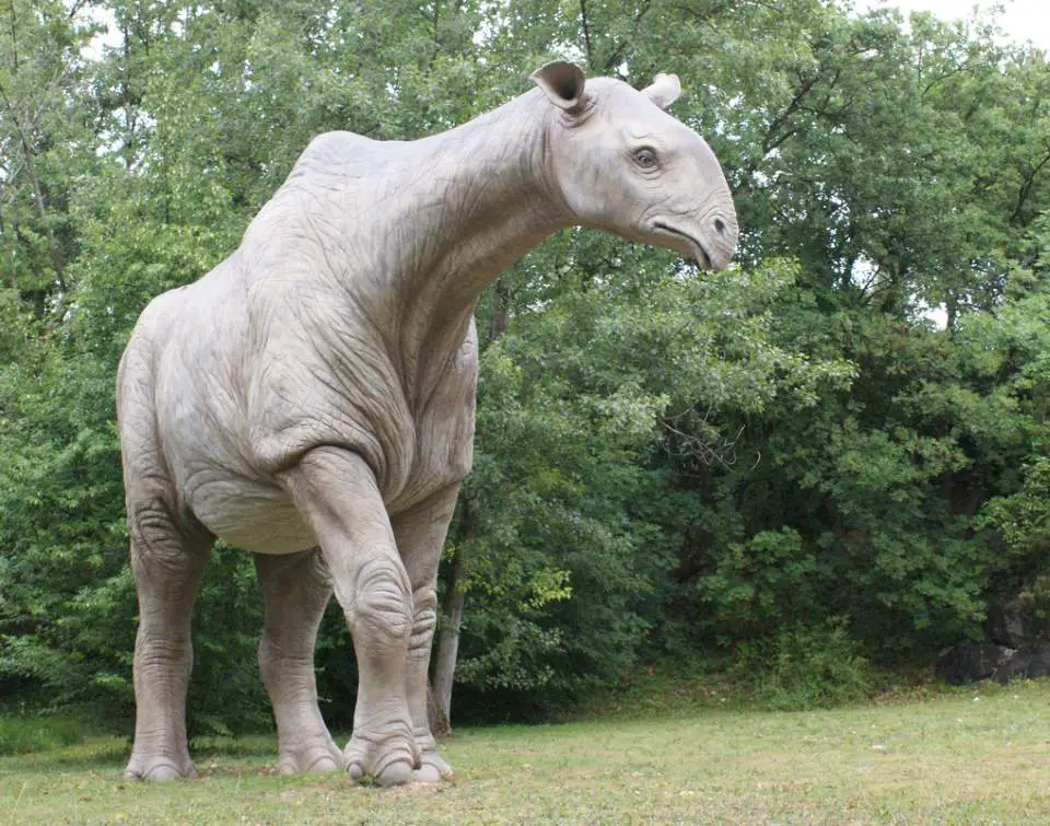 Indricotherium model at the Parco Natura Viva, Pastrengo, Veneto, Italy