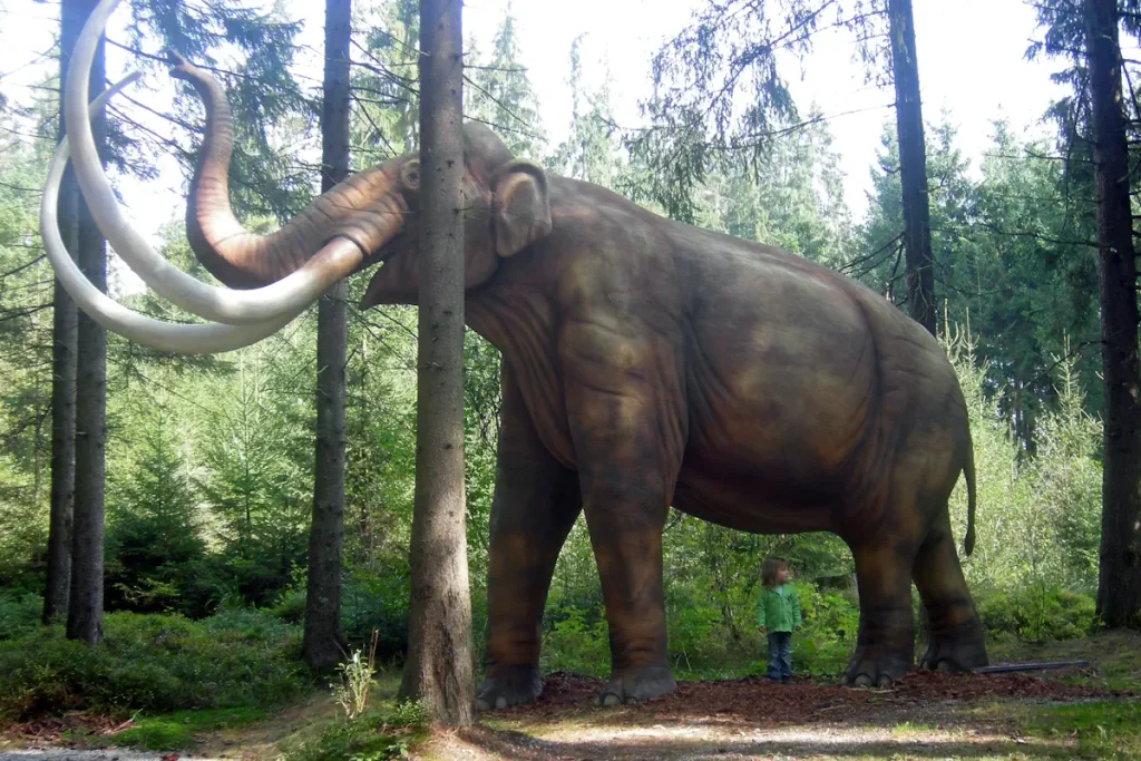 Largest prehistoric mammals: steppe mammoth