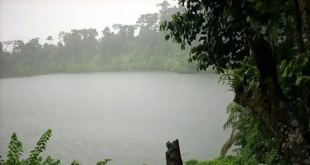 Debundscha, Cameroon is one of the wettest places in the world