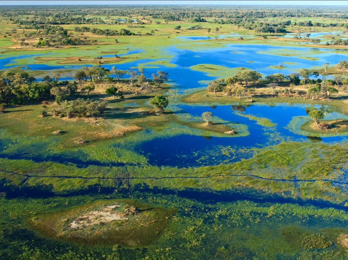 Okavango Delta, Botswana