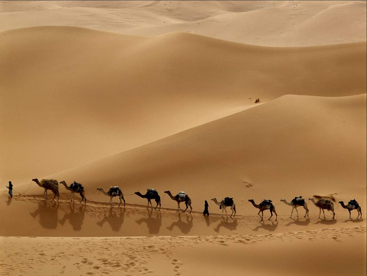 A Caravan in Libyan Desert