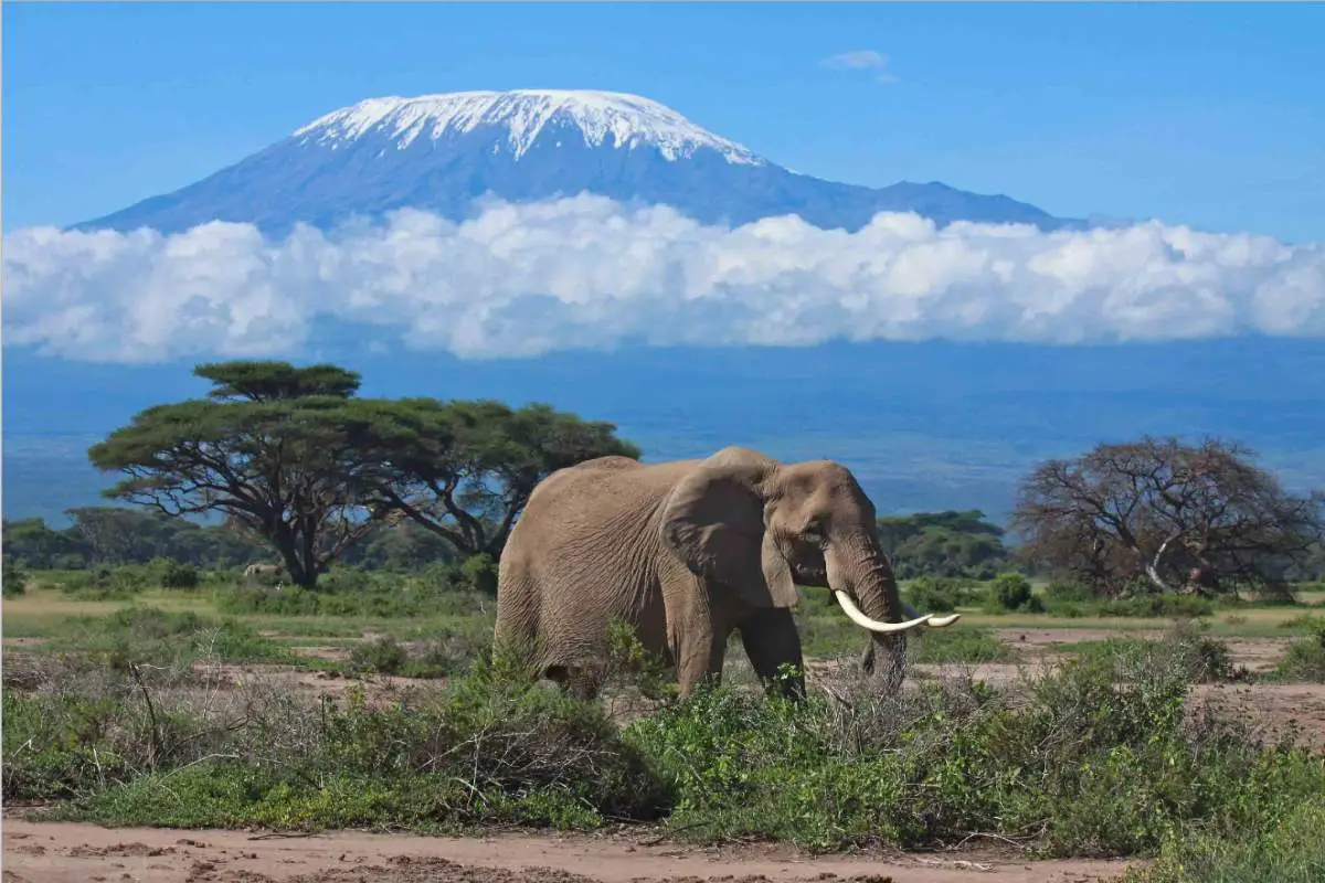 Places to See Before They Have Vanished: Mount Kilimanjaro