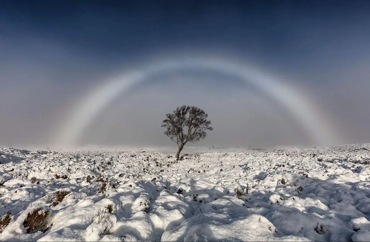 Amazing and Rare Natural Phenomena: Fogbow