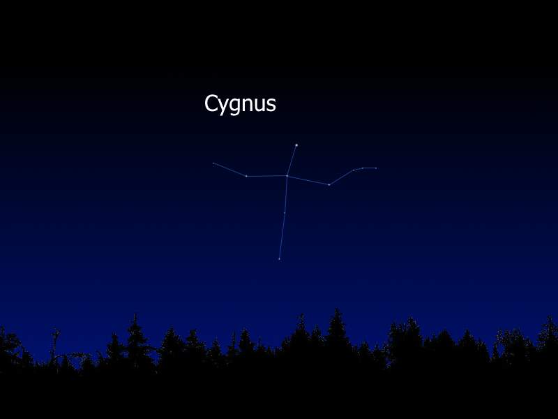 Cygnus in the Earth's sky