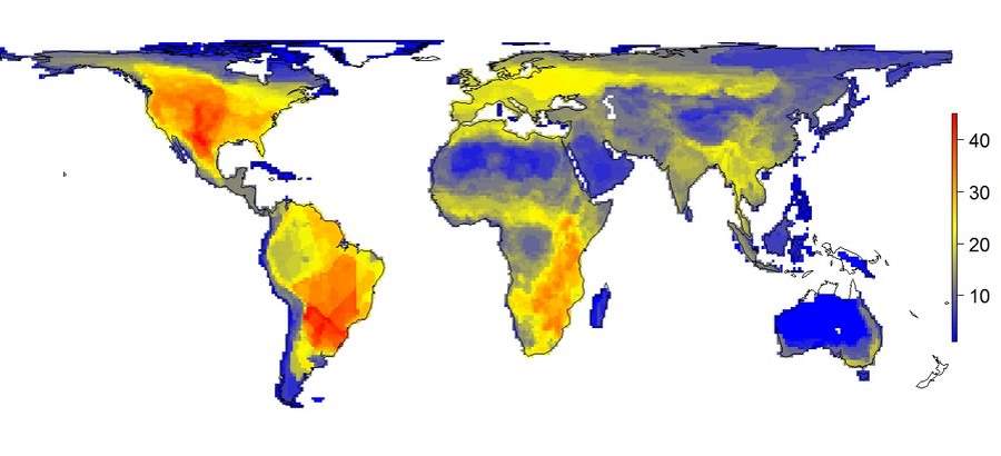 World - large animals diversity if humans not existed