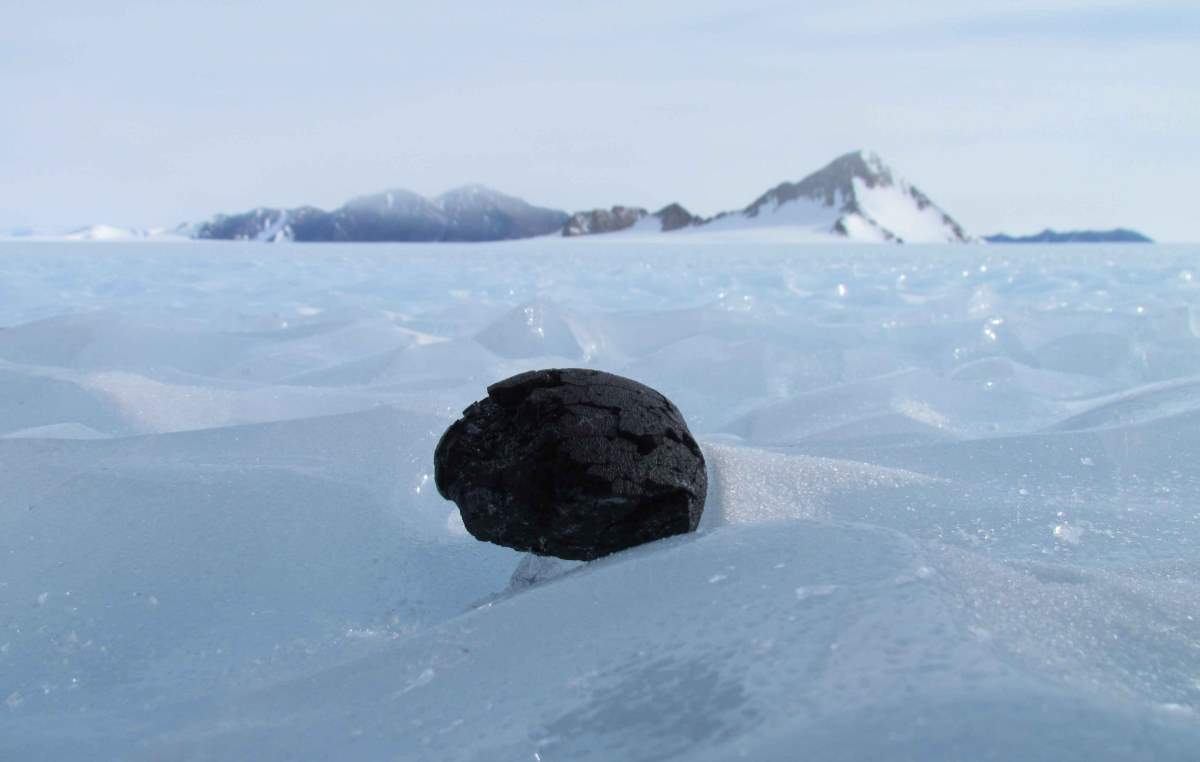 Meteorite on- Antarctic ice