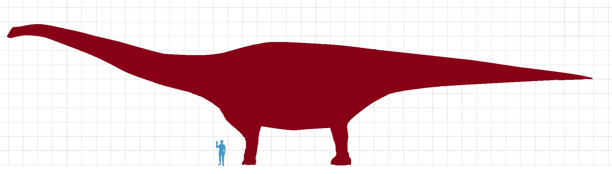 Largest dinosaurs: Patagotitan mayorum vs human size comparison