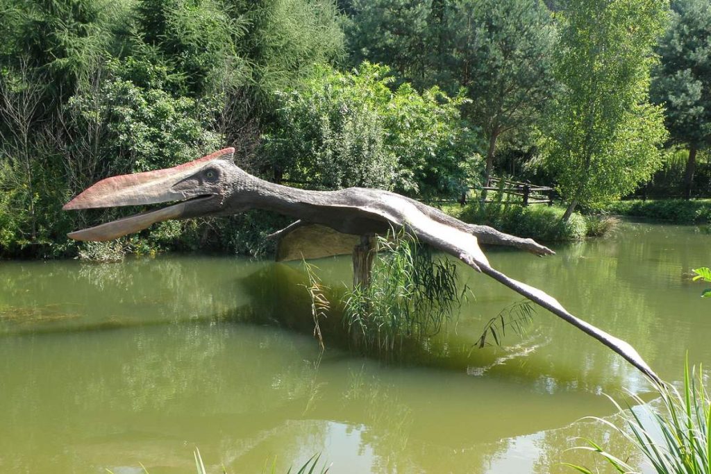 The largest flying animal ever lived - A Quetzalcoatlus reconstruction at JuraPark Bałtów