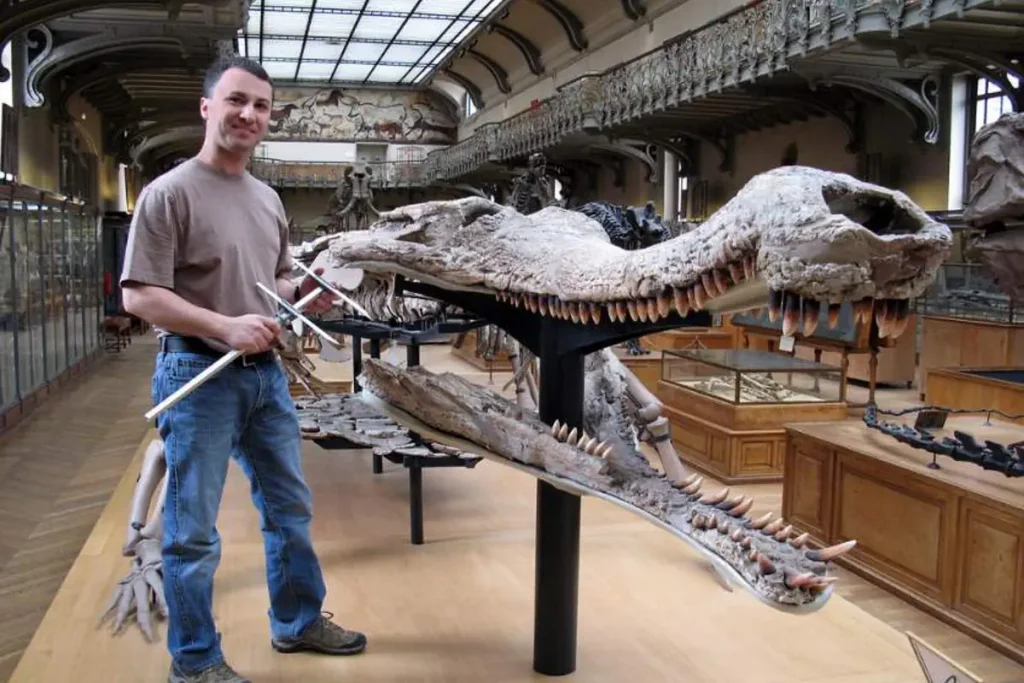 Sarcosuchus skull vs human