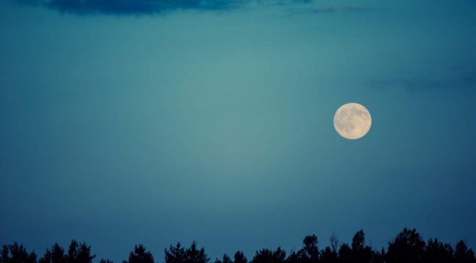 Why do we see only one side of the moon: Moon in the sky over trees
