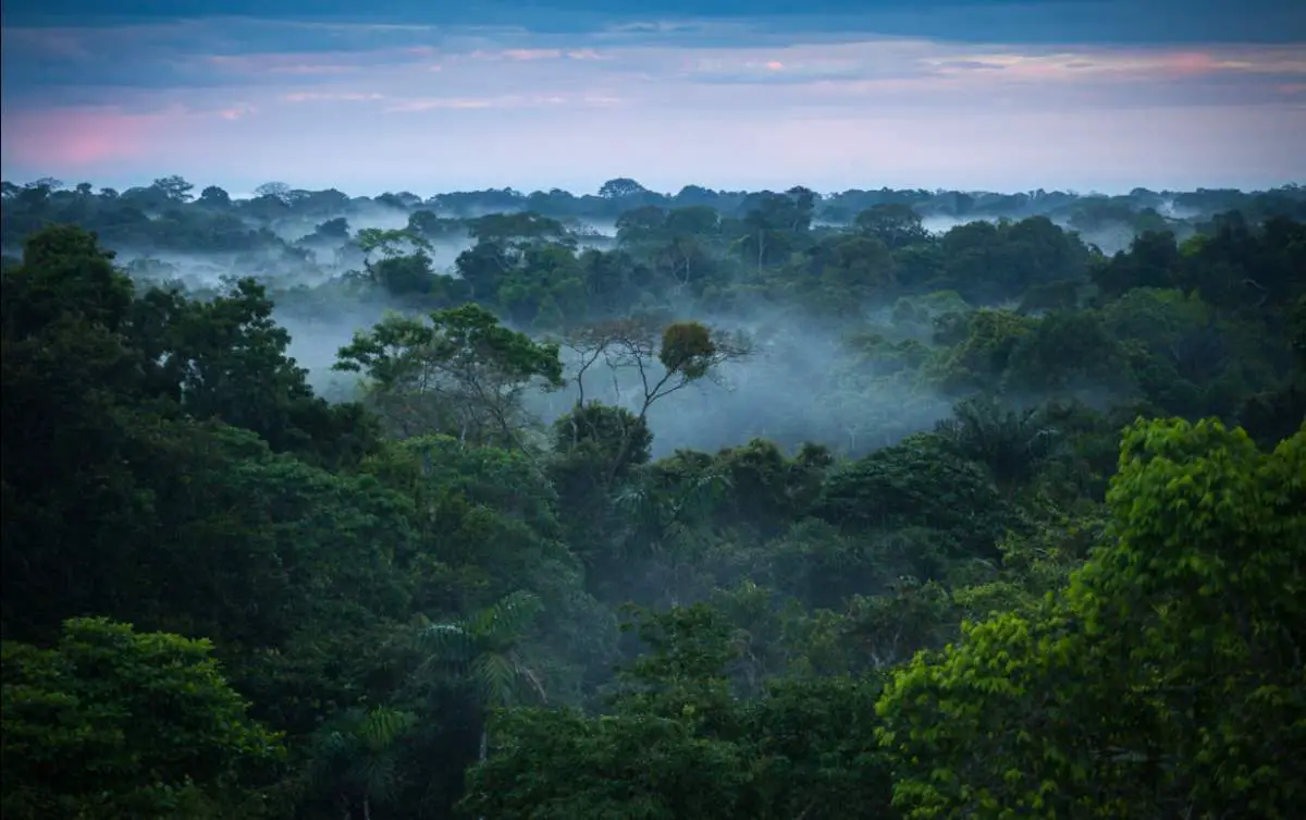 A small part of the Amazon between Brazil and Peru