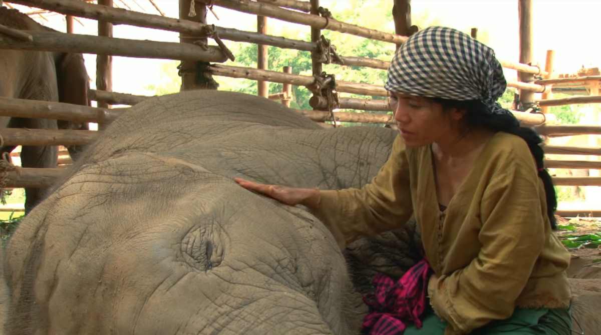 Faa Mai, the snoring elephant, and her caretaker Lek