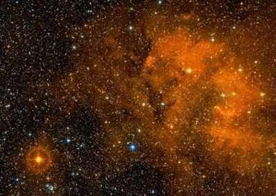 Biggest stars in the Universe: RW Cephei