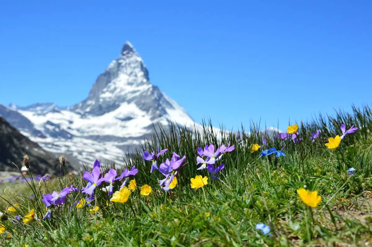 Tourist Attractions in the World That Everyone Must See: Matterhorn, Switzerland