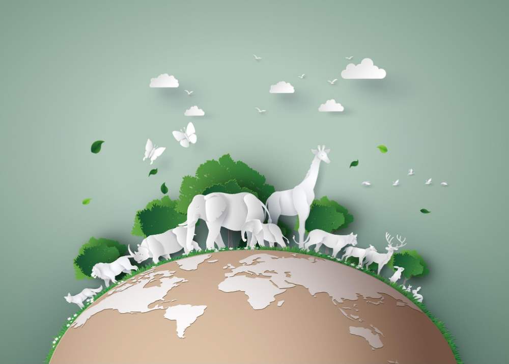 Environmental Sustainability