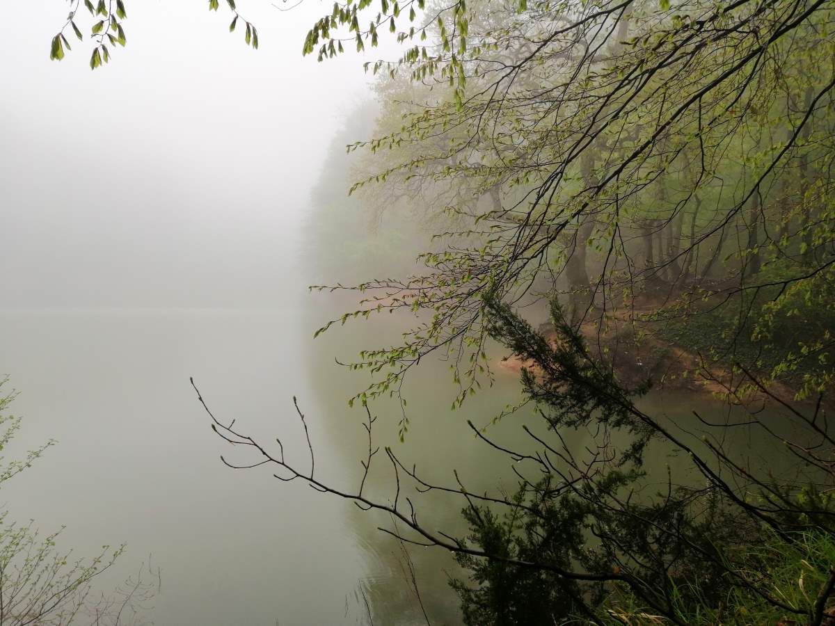 A misty lake in the Belgrade Forest, İstanbul, Turkey