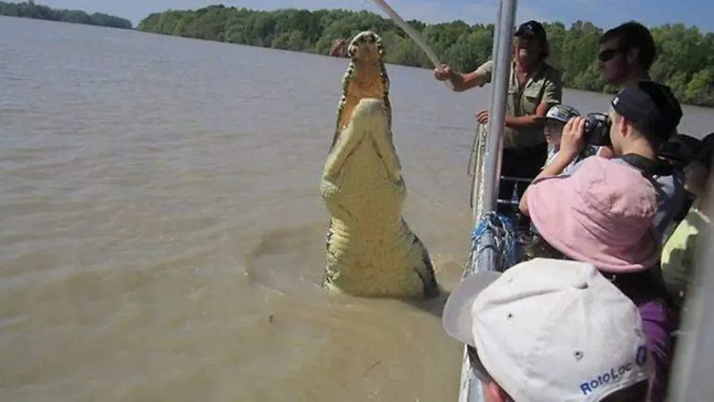 Largest crocodiles ever recorded: Brutus