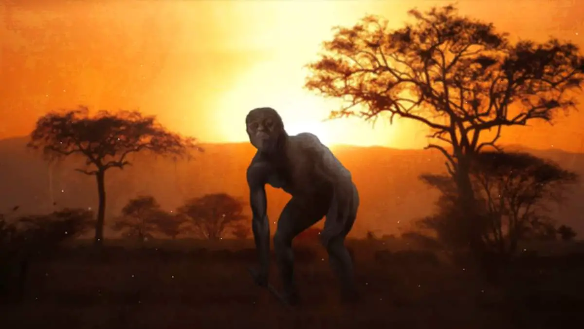 Human ancestor walking on two legs