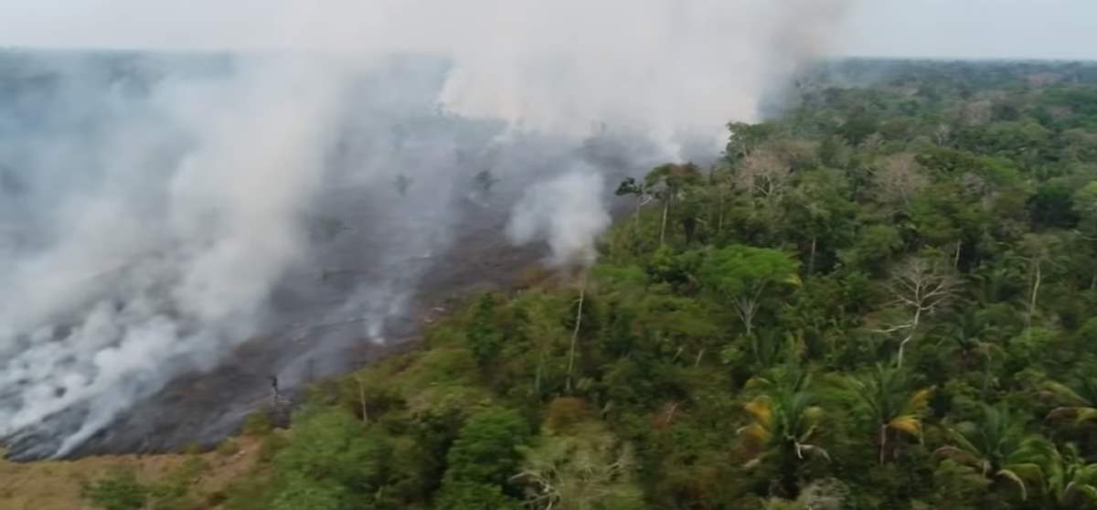 Amazon rainforest fire - drone footage