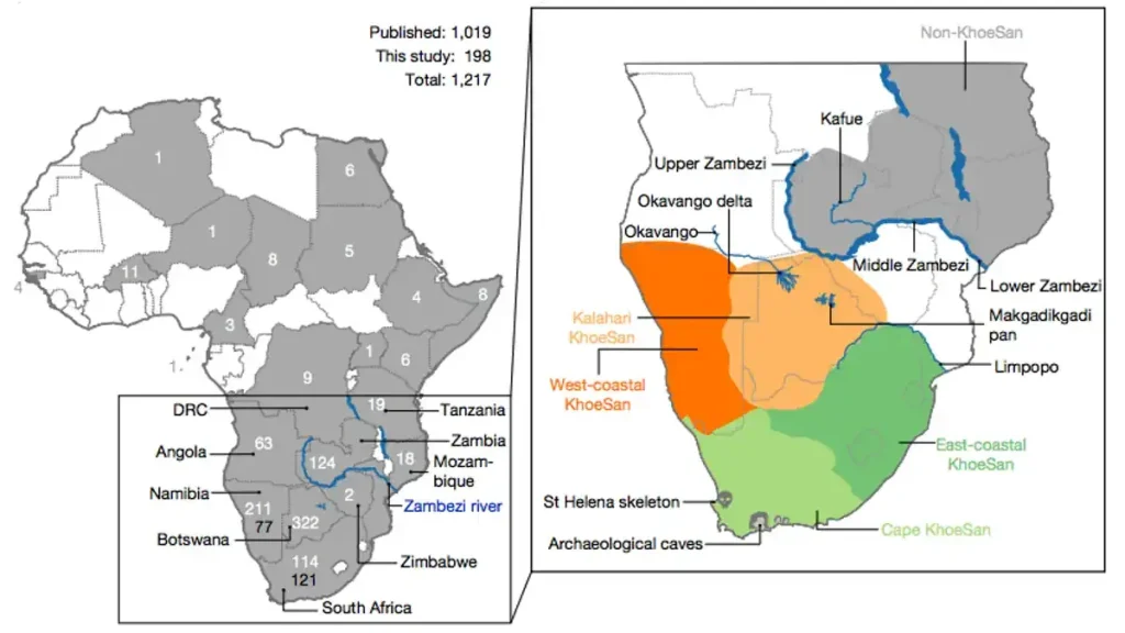 Botswana: the birthplace of modern humans. Geographical distribution of ancestral DNA