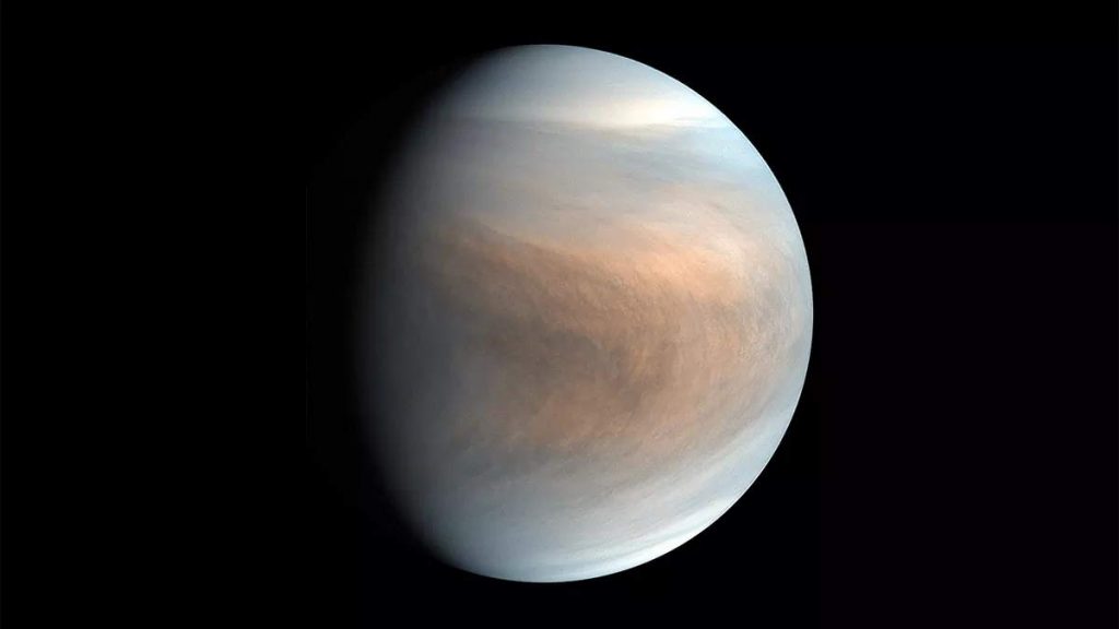 Life on Venus?