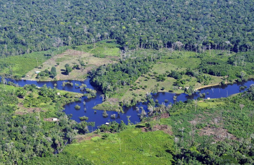 Things that can happen if we lose the Amazon Rainforest