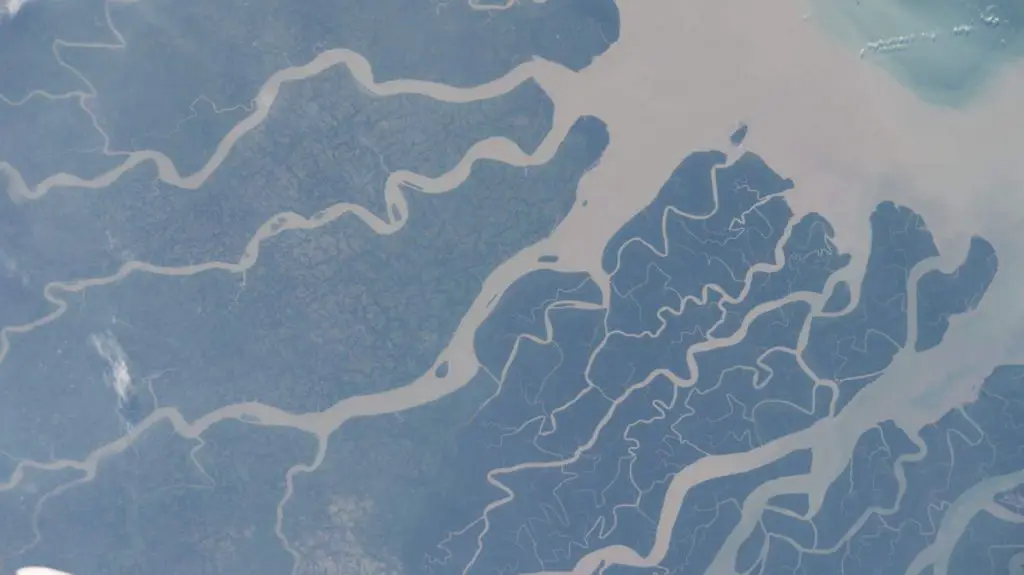 Most Beautiful Earth Photos Taken From the ISS in 2020 - Southern coast of Bangladesh from the ISS. October 16, 2020.