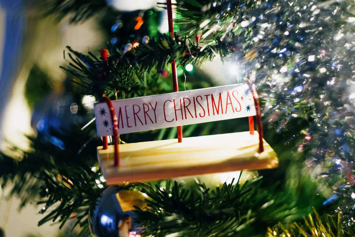 Holiday sustainability - Christmas tree detail