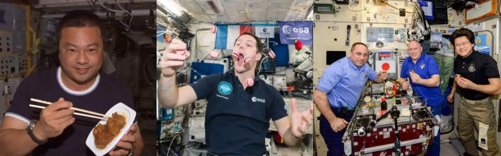 What do astronauts eat in space?