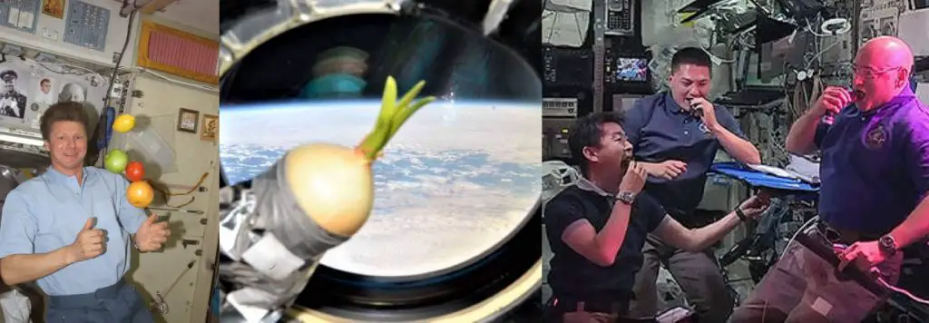 What do astronauts eat in space? vegetables and fruits