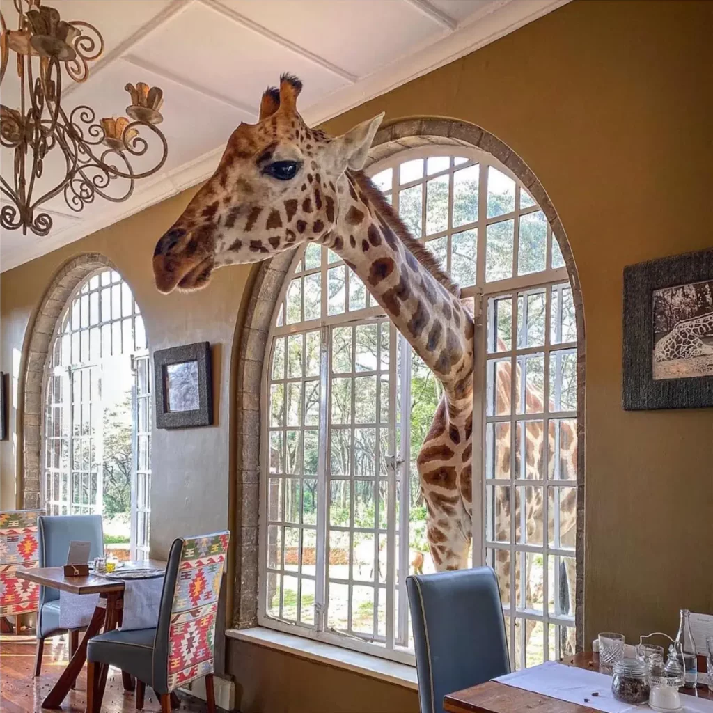 Most unique hotels in the world: Giraffe Manor, Nairobi