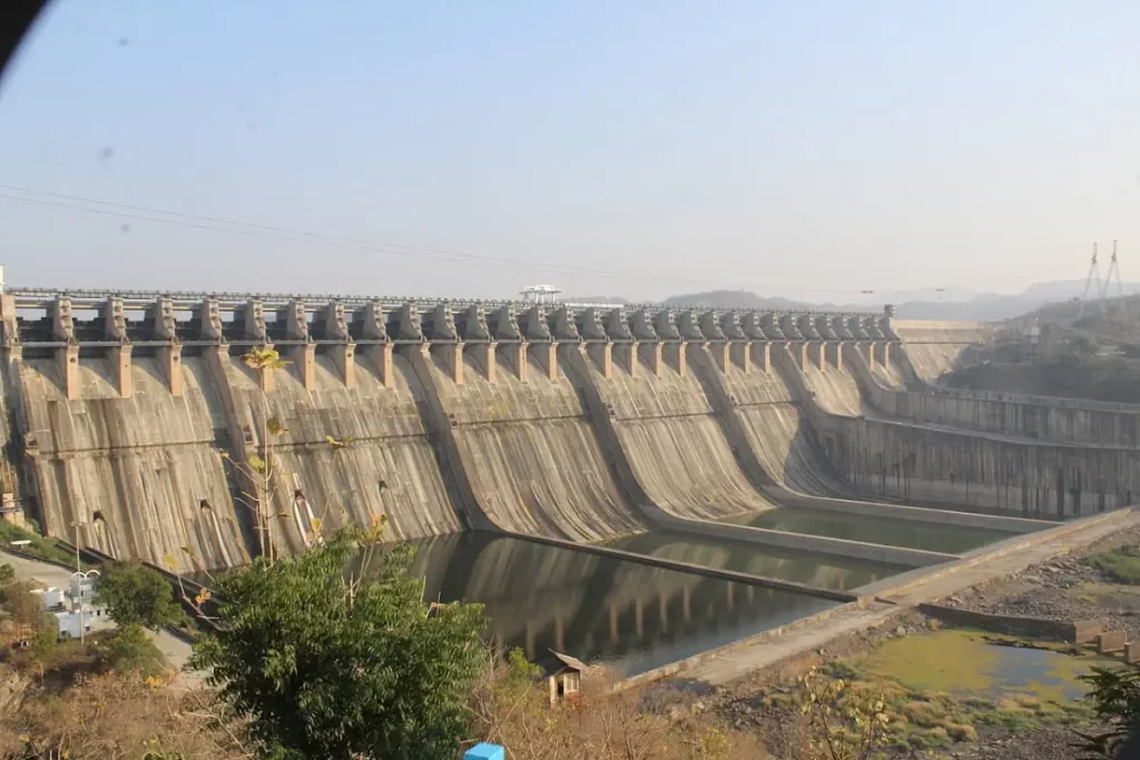 Hydroelectric dams take a toll on endangered big cats - Sardar Sarovar Dam