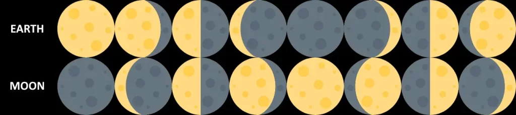 Earth-Moon phases