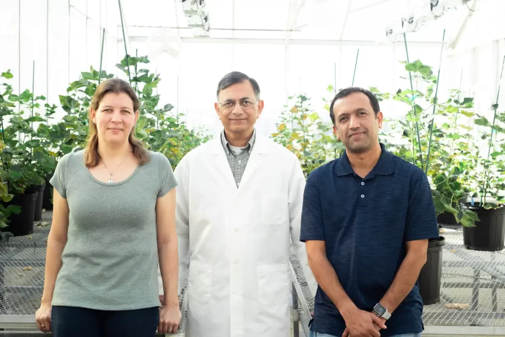 Dr. Rathore (middle), LeAnne Campbell, and Devendra Pandeya