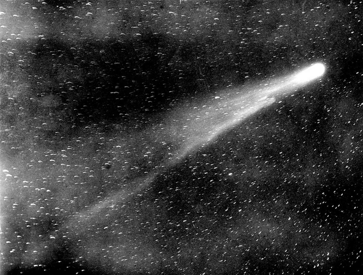 Comet Halley June 6 2010 photo