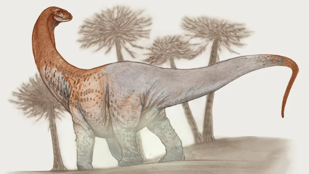 Largest dinosaurs: Chucarosaurus