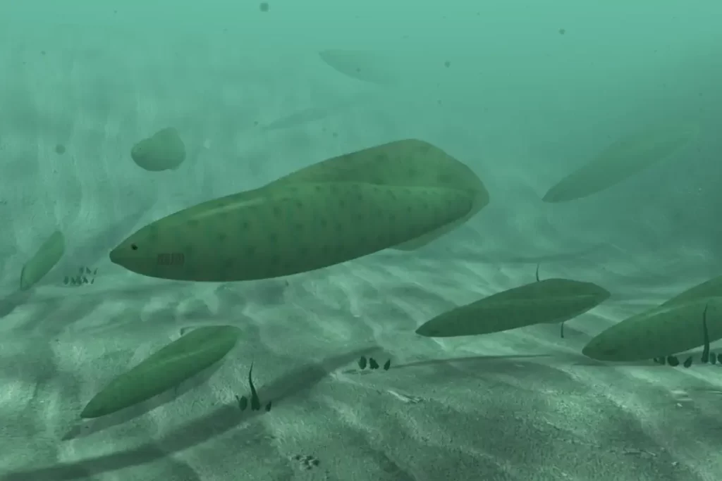 History of fish - 3D Reconstruction of Haikouichthys ercaicunensis. Based on actual fossil evidence.