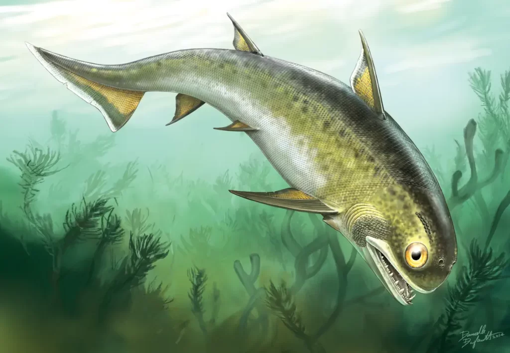 A visual history of fish: Nerepisacanthus