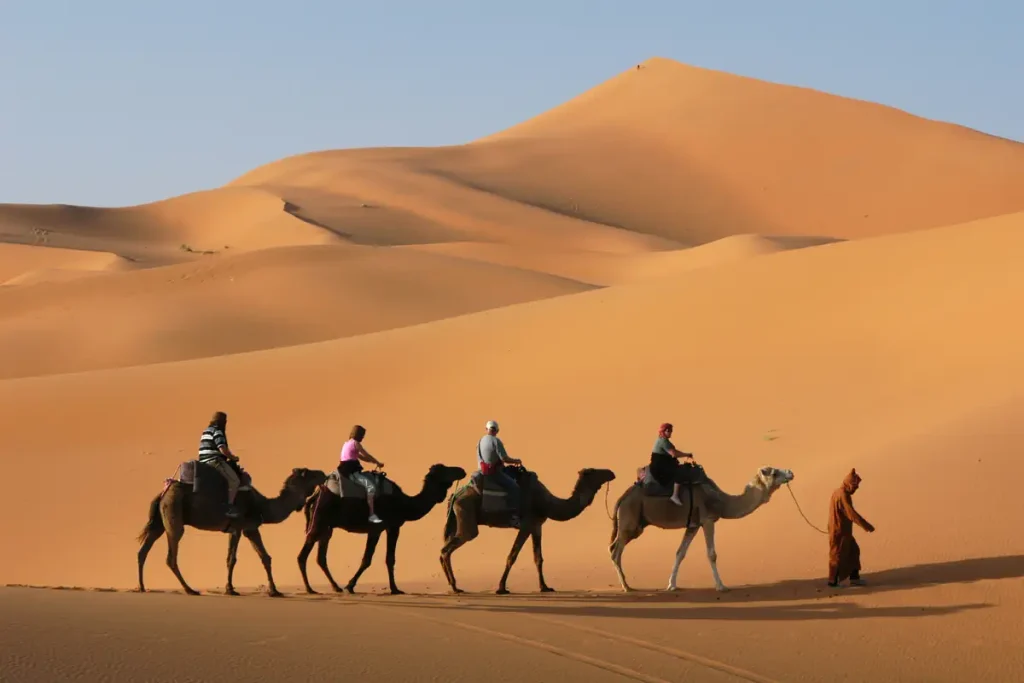 A camel caravan in the Sahara Desert